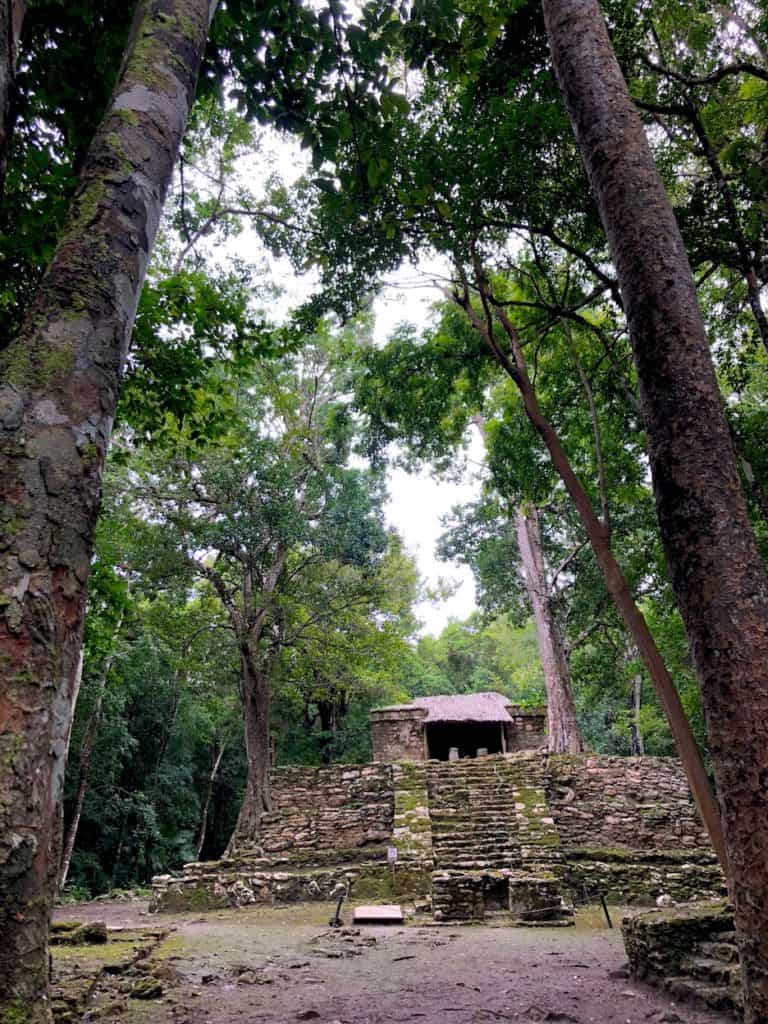 Muyil Ruins near Tulum, Mexico: What to do in Quintana Roo. To & Fro Fam