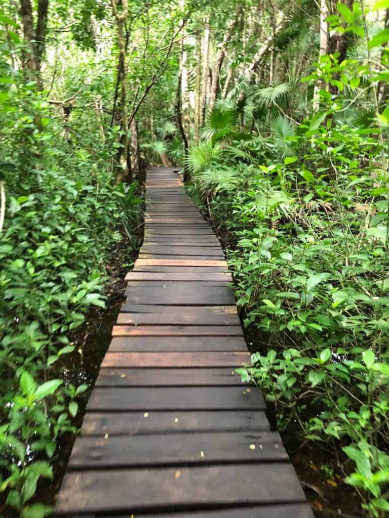 Hiking in Tulum, Mexico: Sian Ka'an Biosphere / To & Fro Fam