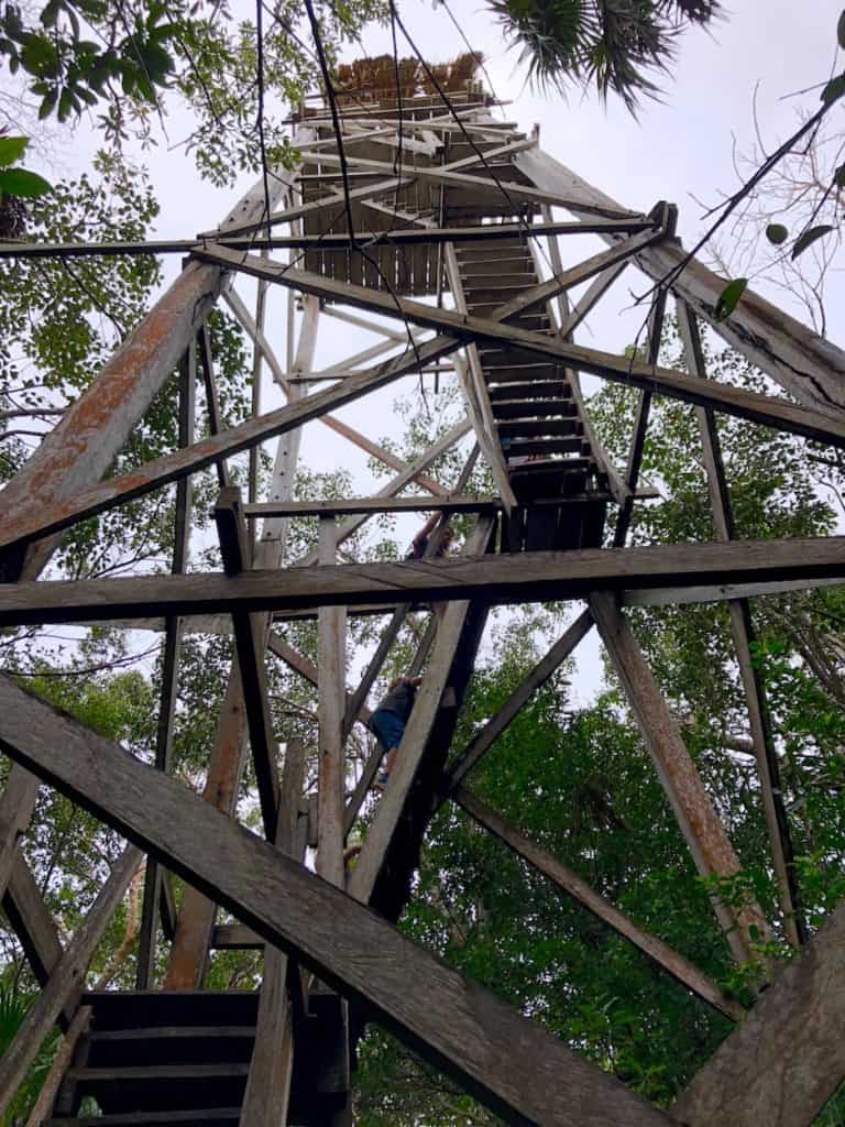 This 3-story tall lookout oversees the jungle in the Sian Ka'an Biosphere near Tulum, Mexico. Adventure travel in Mexico! To & Fro Fam