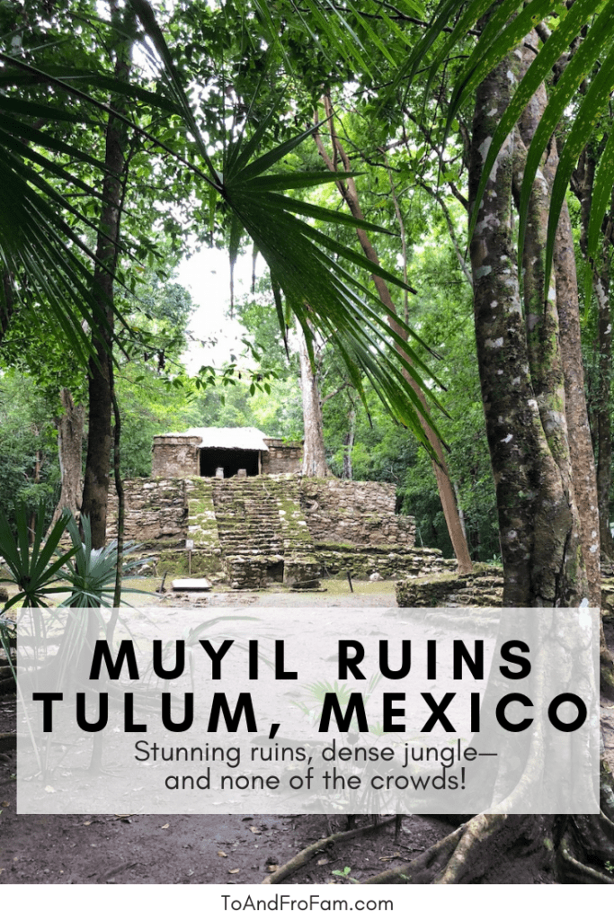 What to do in Tulum, Mexico: Escape the crowds and head to the Muyil Ruins, just 30 minutes outside of town. To & Fro Fam
