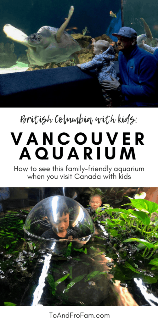 What to do in Vancouver BC with kids: Visit the Vancouver Aquarium! Here, my tips. To & Fro Fam