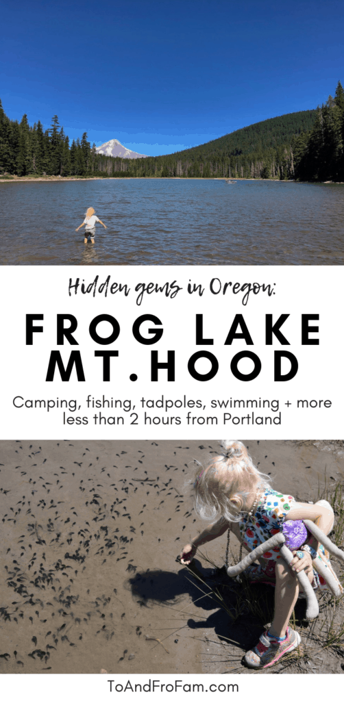 Frog Lake, Oregon: A hidden gem on Mt. Hood. Catch tadpoles, chase butterflies, swim, fish, camp—do it all just 2 hours from Portland, OR. To & Fro Fam