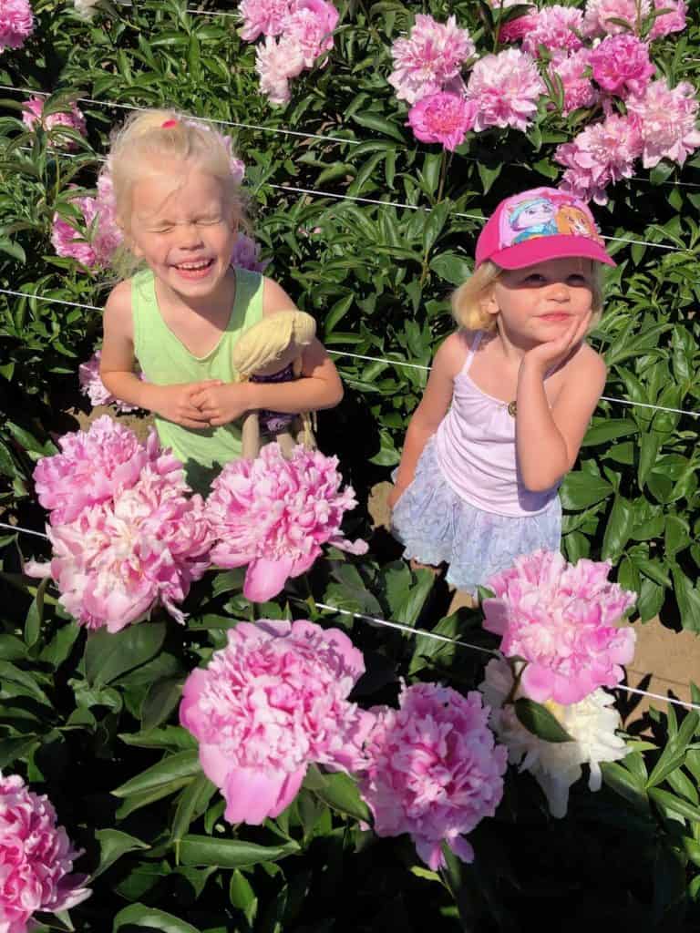 Traveling to Oregon with kids this spring? This peony farm is FREE and beyond gorgeous. It's right outside of Salem, OR and near Portland! To & Fro Fam