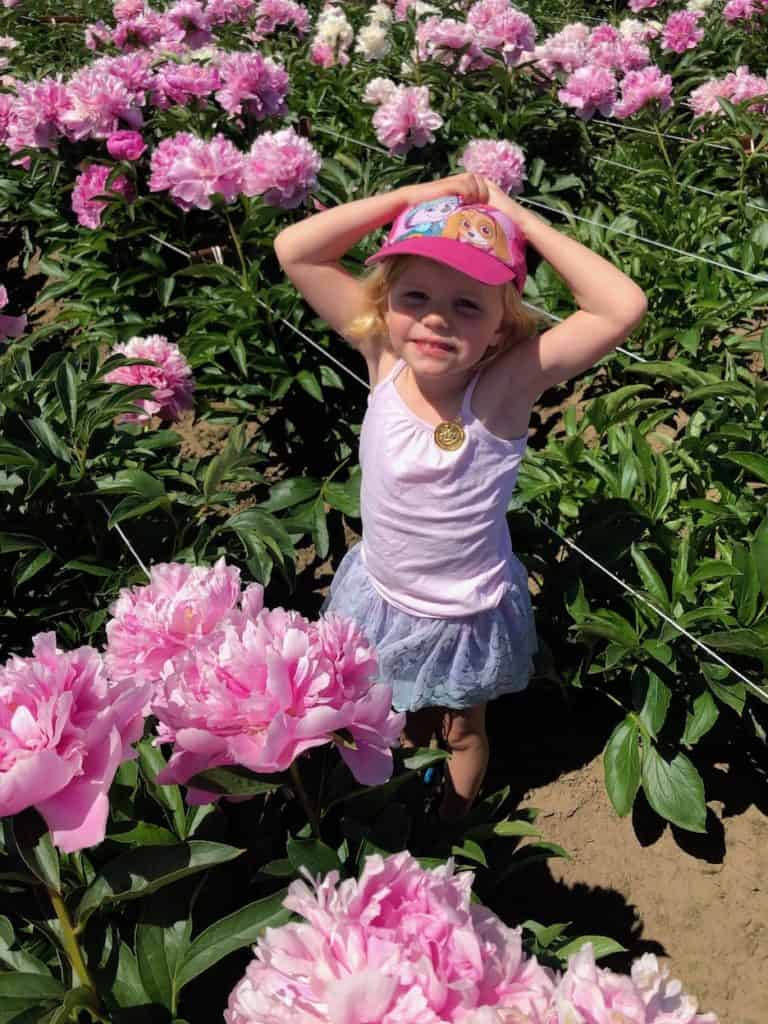 Traveling to Oregon with kids? This flower farm near Portland is an awesome family friendly activity. To & Fro Fam