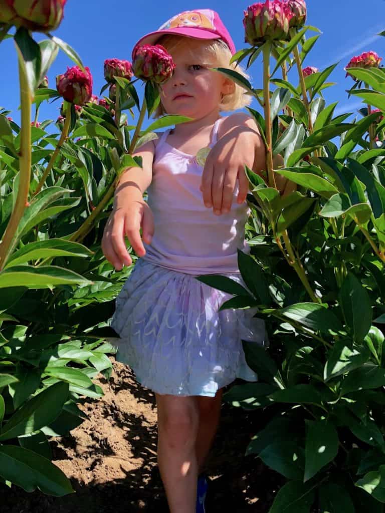 Oregon peony farm - things to do in Salem Oregon / To & Fro Fam
