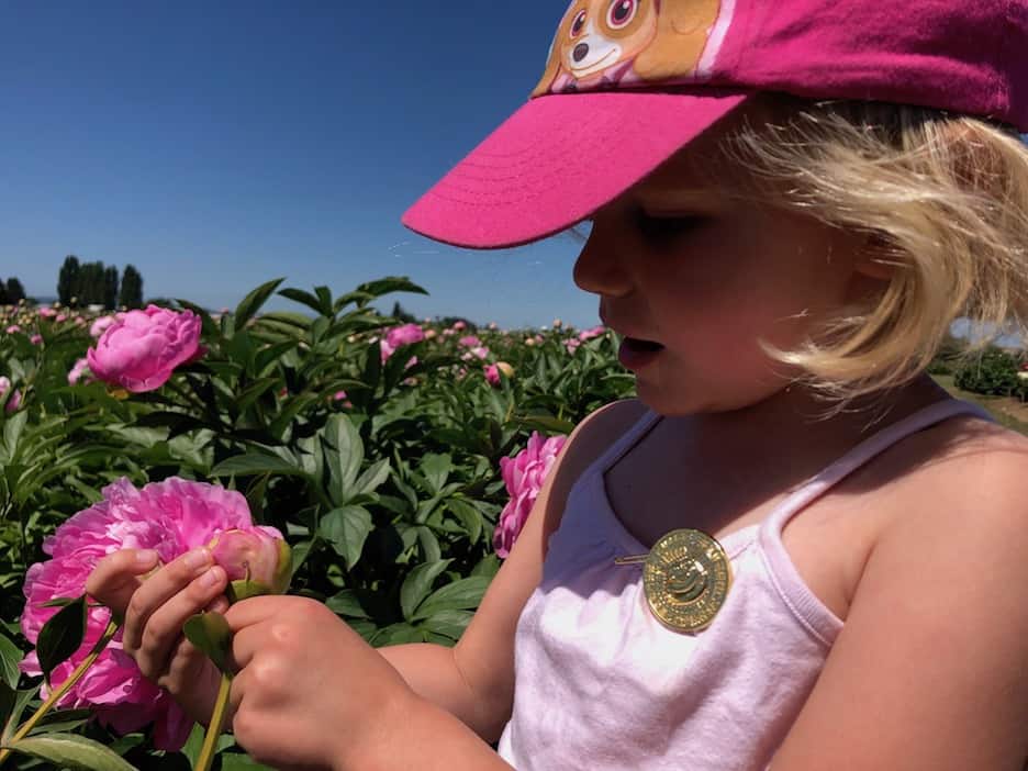 Kid-friendly activities in Oregon: These peony farms are a free, fun destination outside of Salem, OR. To & Fro Fam