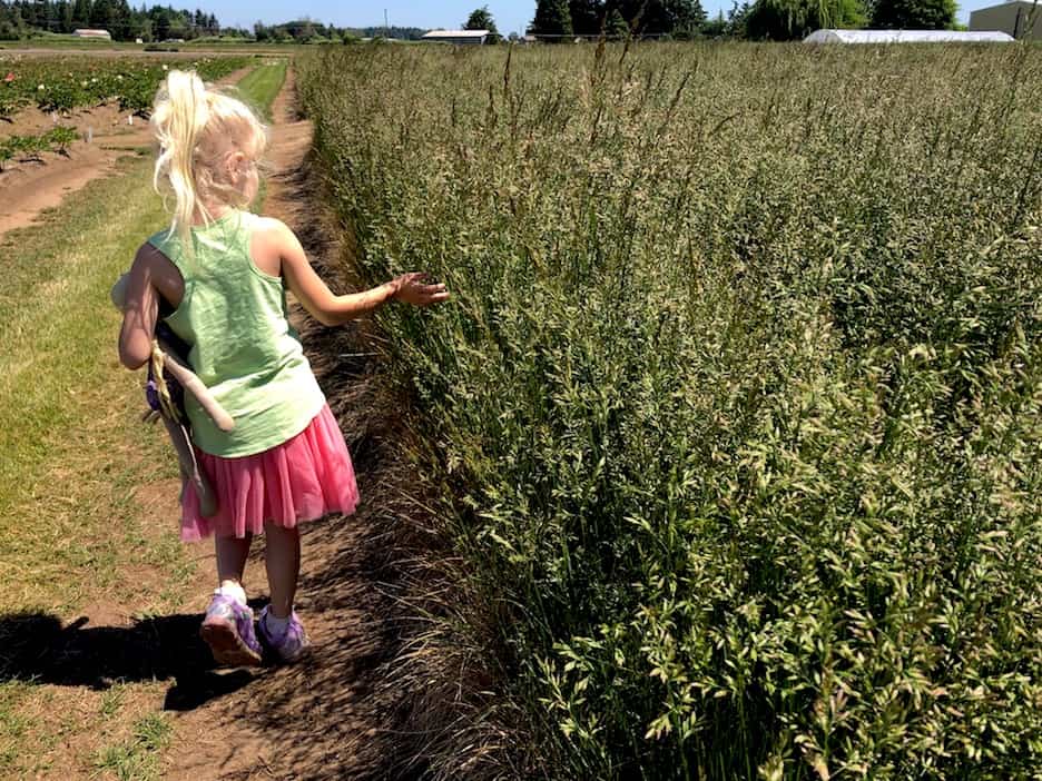 Just outside Salem, Oregon, this farm is free to visit with kids. To & Fro Fam