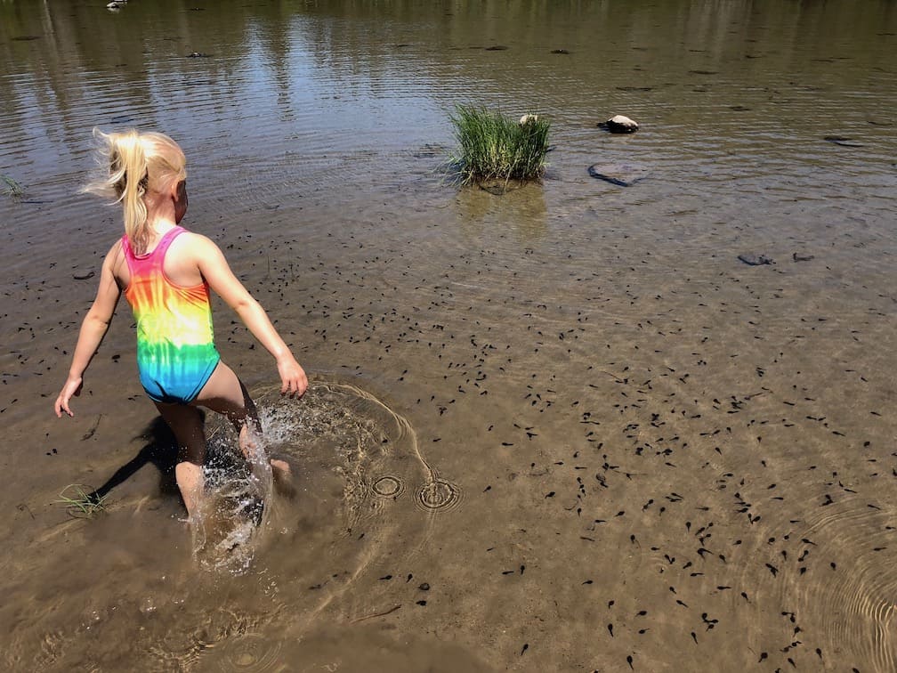 Frog Lake Swimming