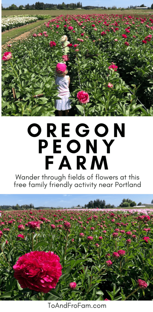 Looking for kids activities near Portland? Check out this gorgeous peony farm outside of Salem, OR. It's free! To & Fro Fam