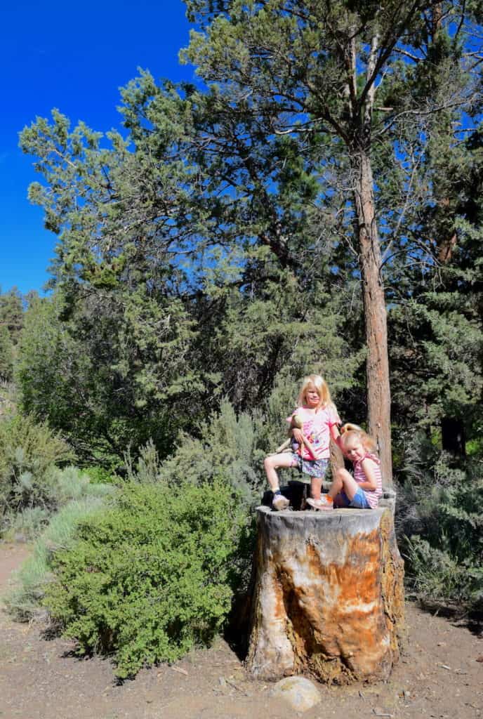 Family travel in Bend, Oregon / To & Fro Fam