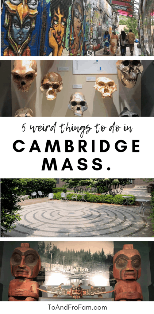 5 weird + different things to do in Cambridge, MA: Street art, a labyrinth, neanderthal skulls + more!