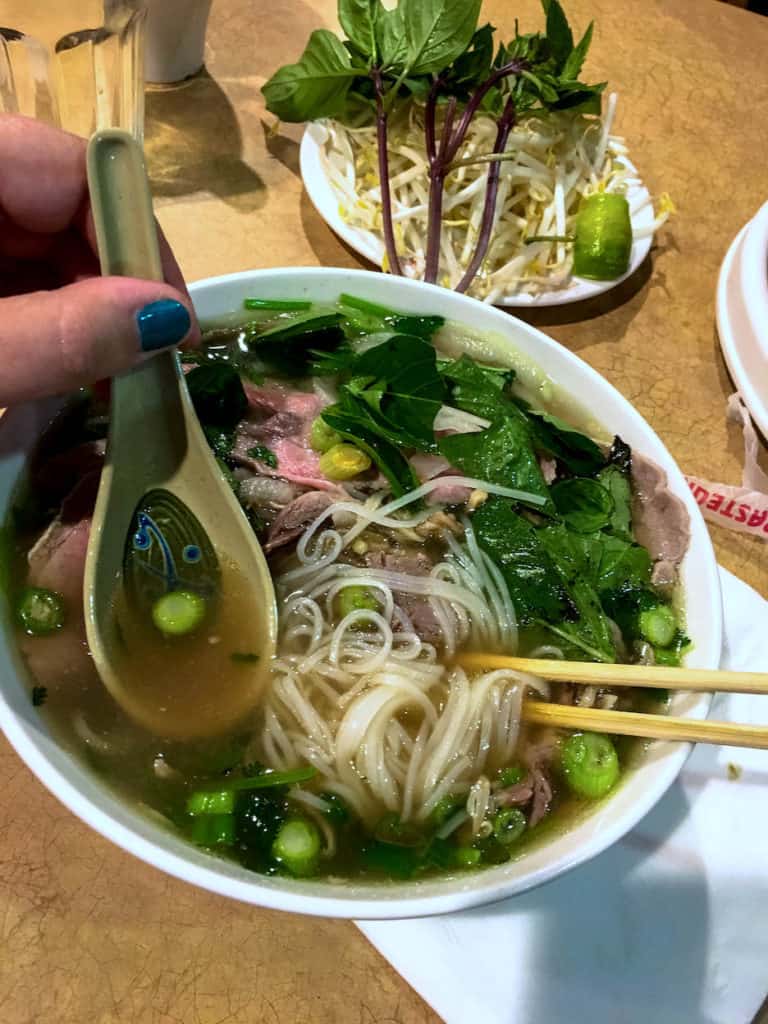 Pho in Boston and other great restaurants to try / To & Fro Fam