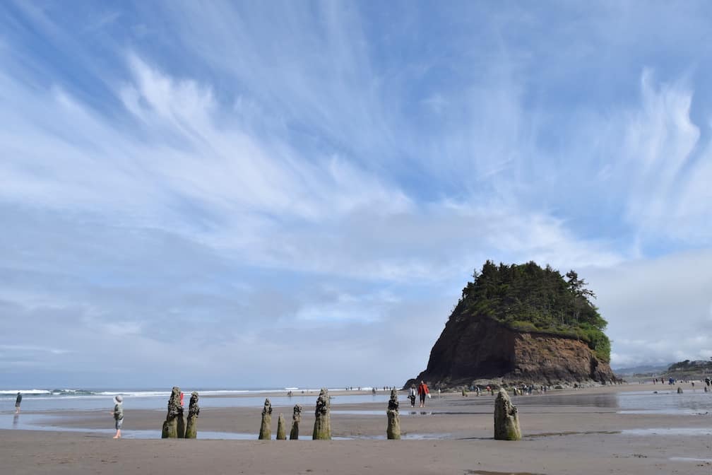 Ghost Forest in Neskowin, Oregon - To & Fro Fam