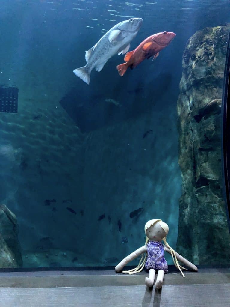 Family friendly things to do on the Oregon Coast: The Newport aquarium is a must-visit stop! To & Fro Fam