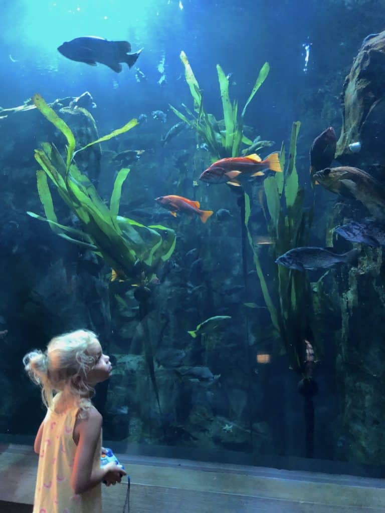 Oregon Coast with kids: aquarium in Newport, OR / To & Fro Fam