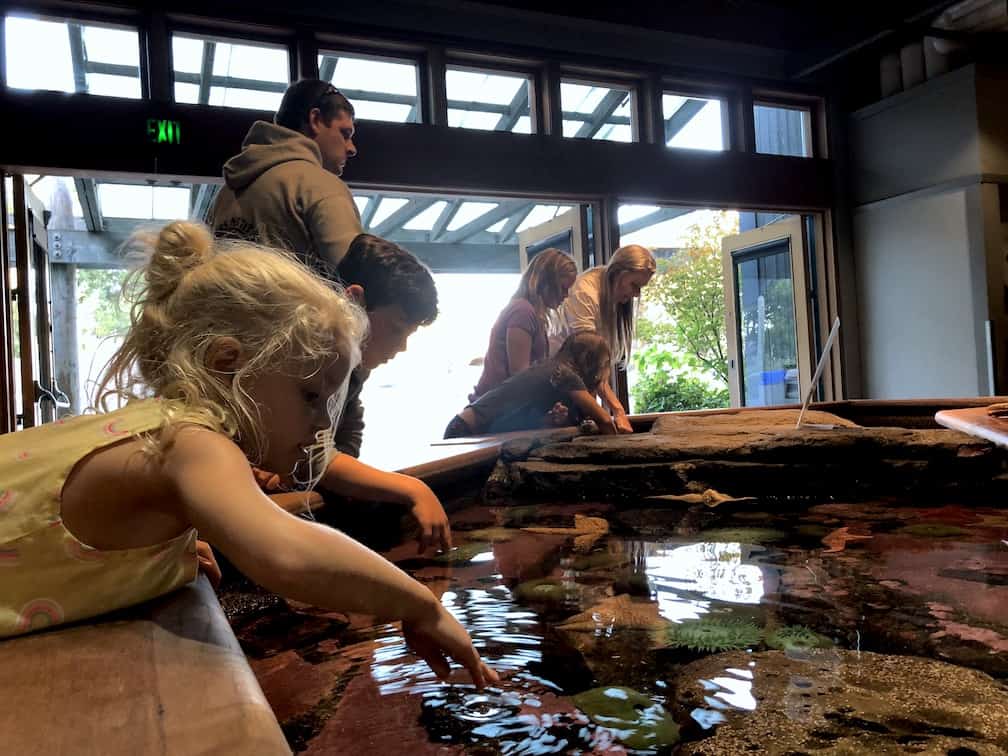 Oregon Coast Aquarium with kids / To & Fro Fam
