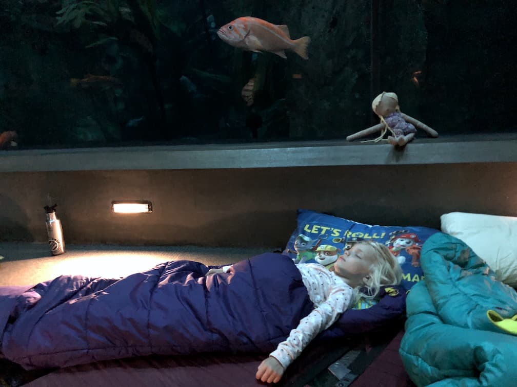 Sleeping overnight at the Newport Aquarium on the Oregon Coast - unforgettable! To & Fro Fam