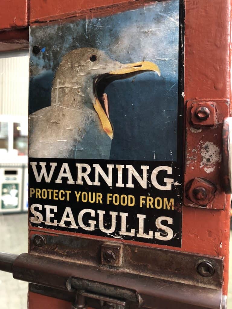Funny sign about seagulls / To & Fro Fam