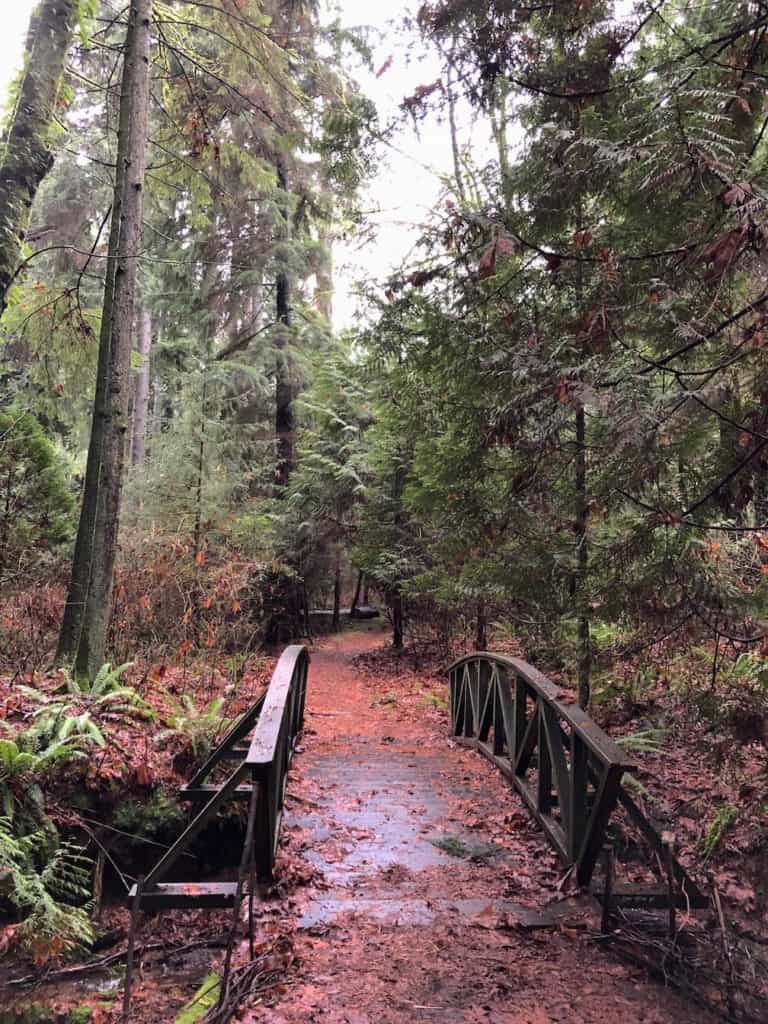 Hike Stanley Park, and much more on Vancouver, BC! Things to do even if it rains. To & Fro Fam