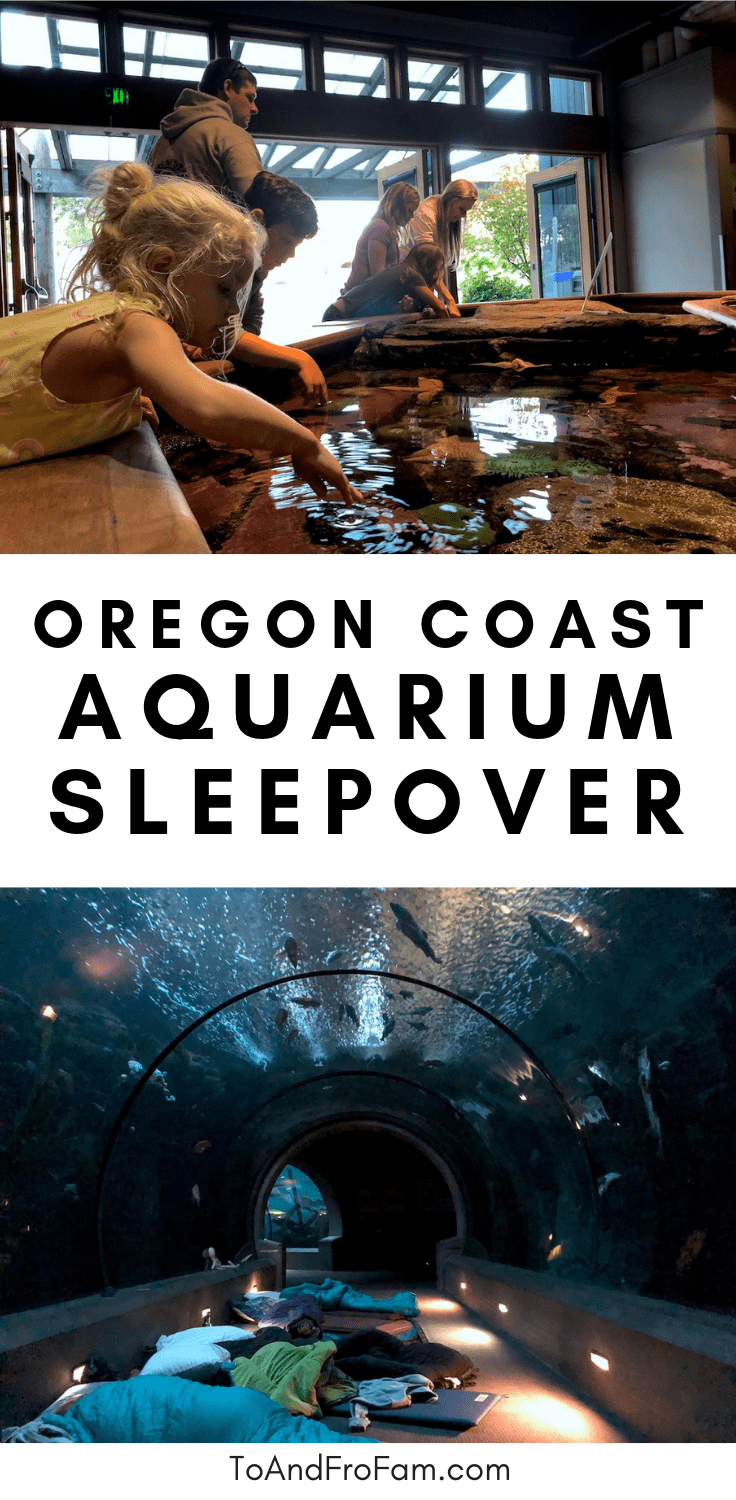 Things to do for families on the Oregon Coast: A sleepover at the Newport aquarium for kids! To & Fro Fam