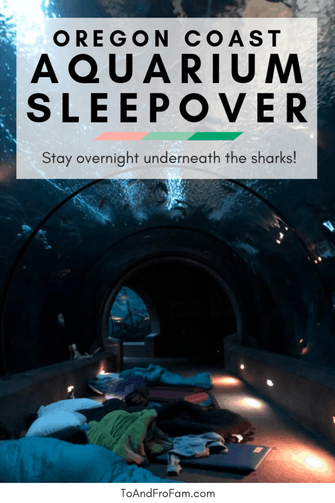 Stay overnight at the Oregon Coast Aquarium, one of the most unforgettable things to do in Newport, OR for families! To & Fro Fam