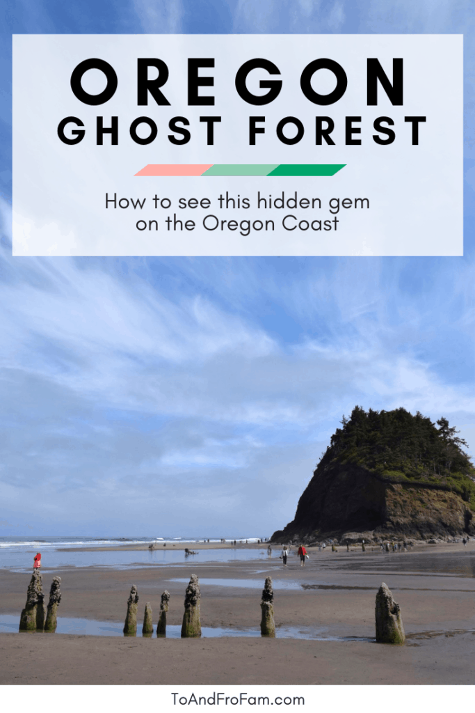 Neskowin Ghost Forest: Oregon Coast's Disappearing Trees (w/ pictures!)