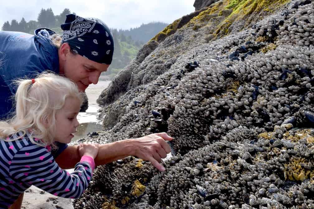 Proposal Rock in Neskowin Oregon has creature-filled tide pools. To & Fro Fam
