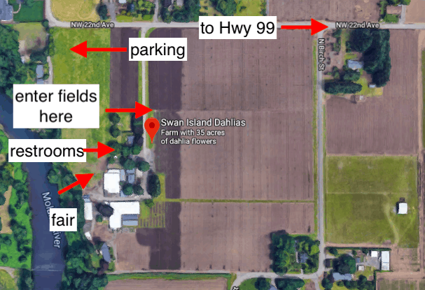 Dahlia Festival in Canby, Oregon MAP