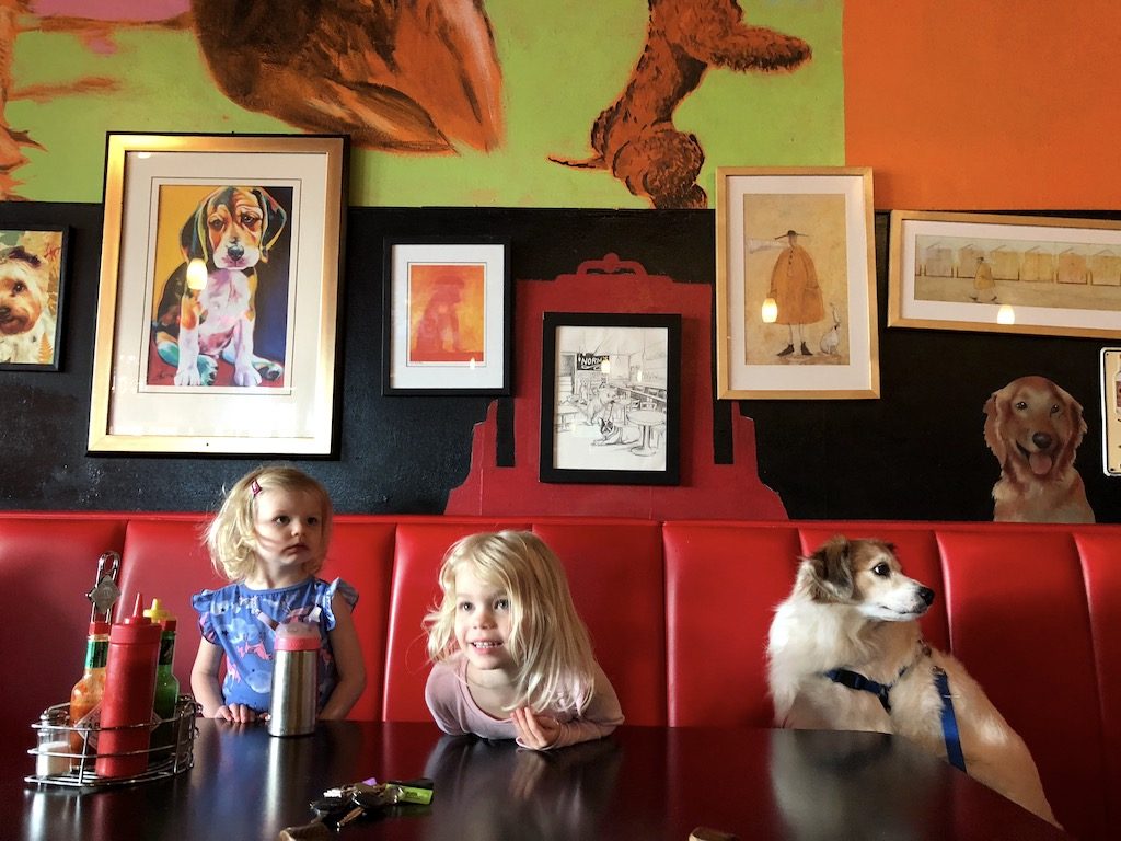 How to take your dog on vacation: Find pet-friendly restaurants + 16 other smart tips! To & Fro Fam