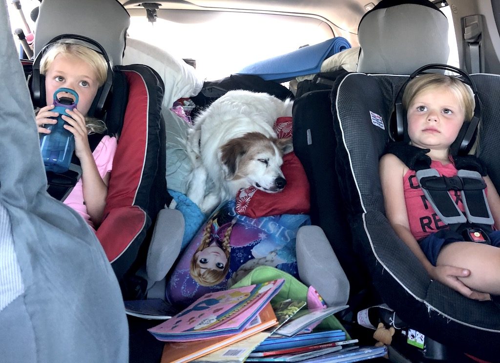 Doggy road trip! How to travel with dogs in the car. To & Fro Fam