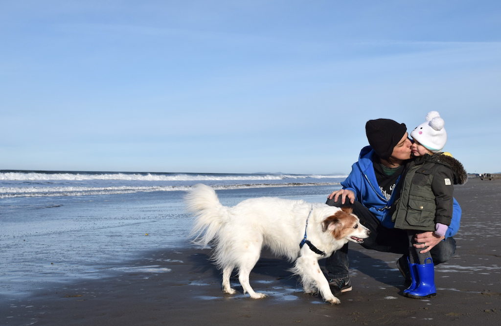 The 17 best tips to take your dog on vacation / To & Fro Fam
