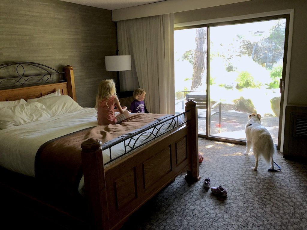 How to find dog-friendly lodging (& 16 other tips for taking your pet on vacation) To & Fro Fam