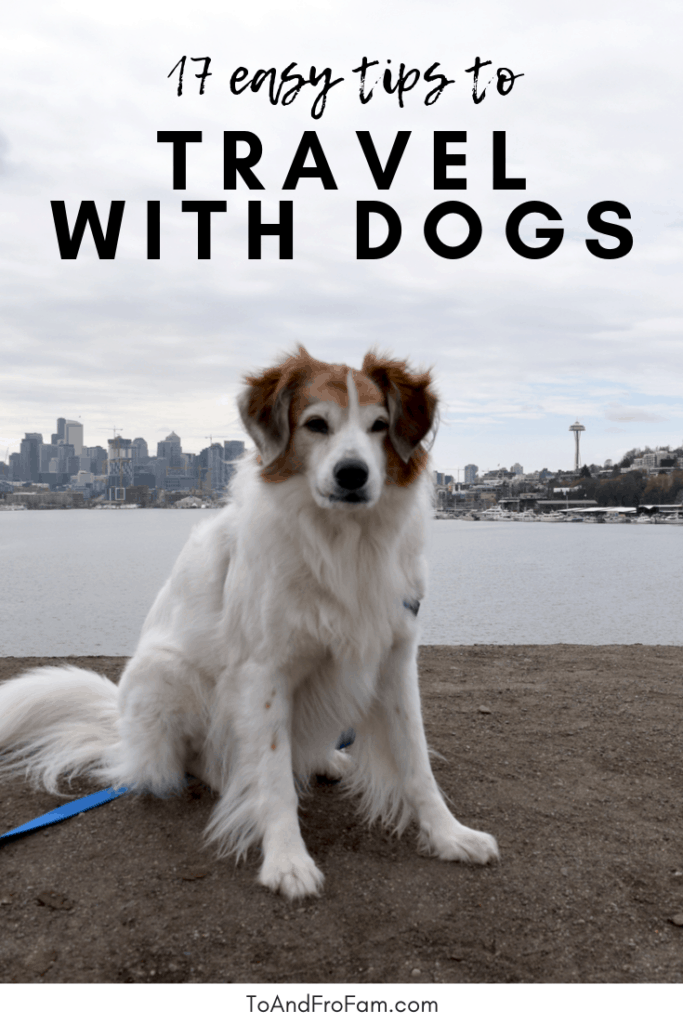 Traveling with dogs? These hacks and ideas will help you find dog-friendly hotels, rock a doggy road trip and ease your pup's anxiety when you're away from home. To & Fro Fam