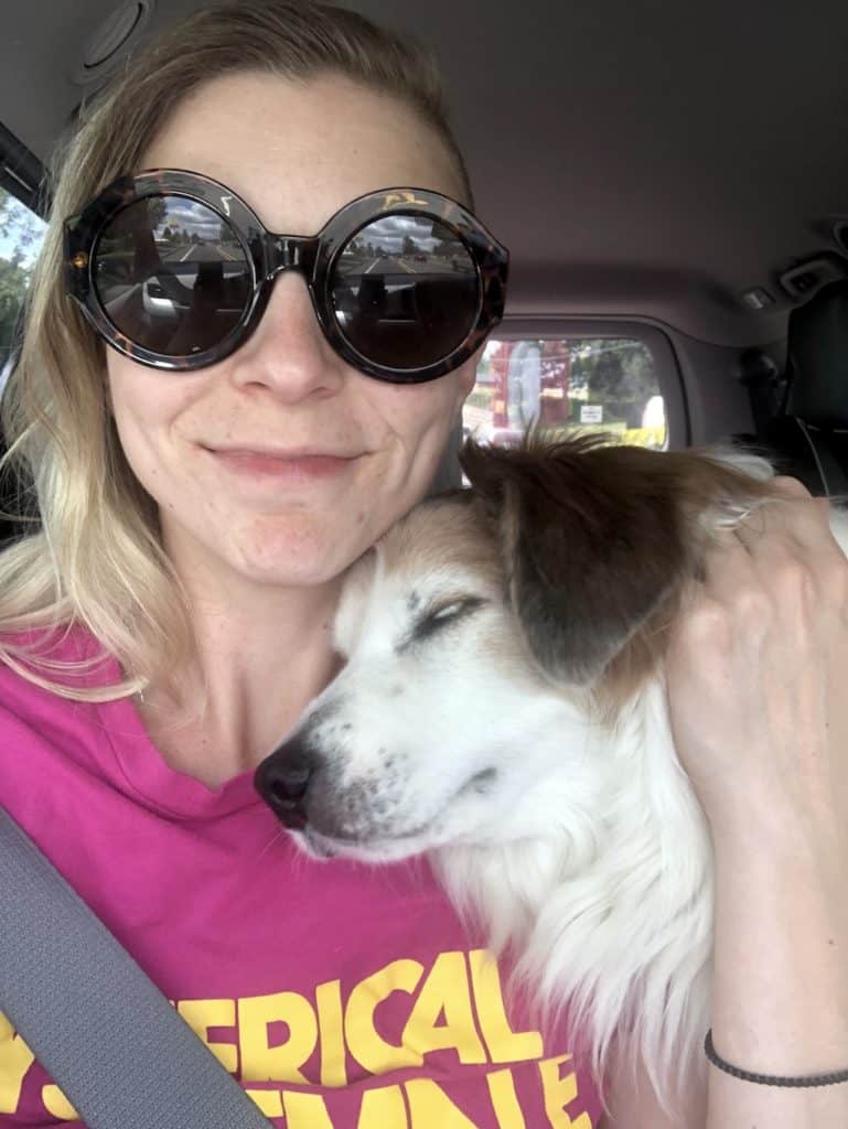 Road trips with dogs: Tips to keep your pup safe, happy and puke-free! To & Fro Fam