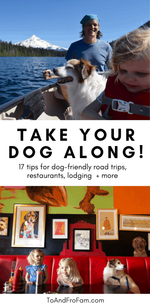 How to travel with dogs: 17 easy tips for smoother vacations with your four legged friend, including tips for dog anxiety, pet-friendly lodging, doggy activities + more. To & Fro Fam