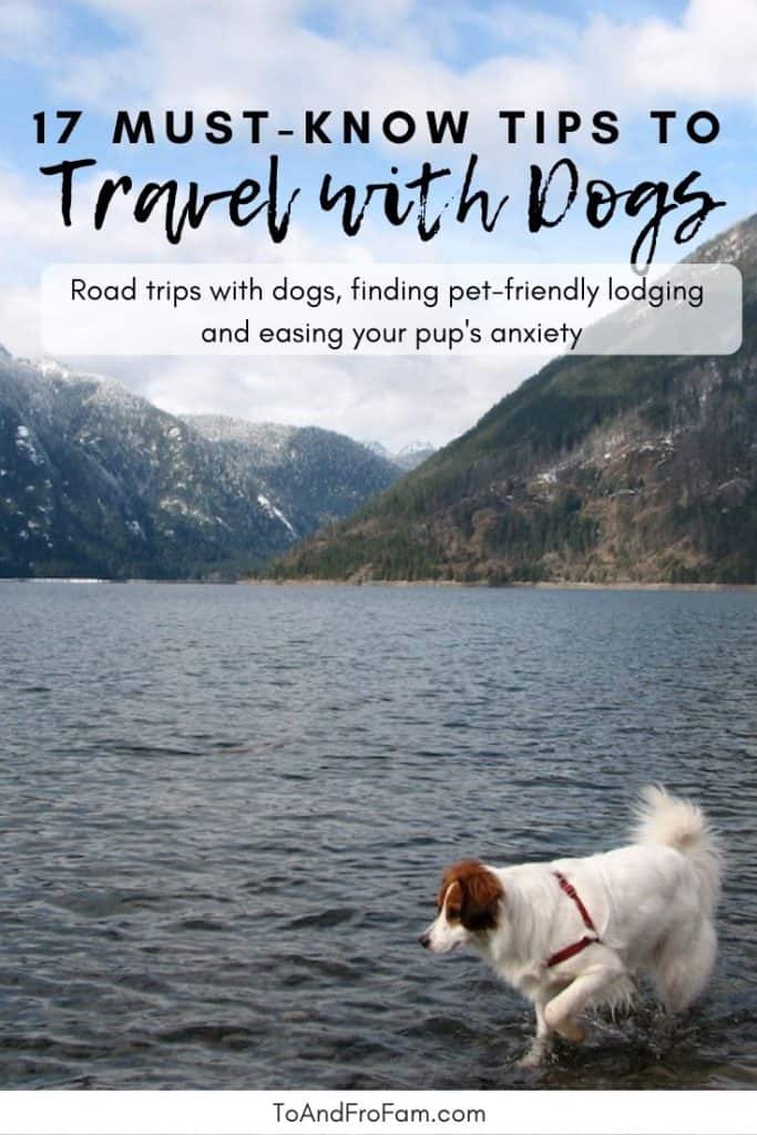 Going on a vacation with your dog? These tips to travel with dogs—in the car, to the beach, to hotels, to the city, to everywhere!—will help ease your dog's anxiety and help everyone have fun. To & Fro Fam