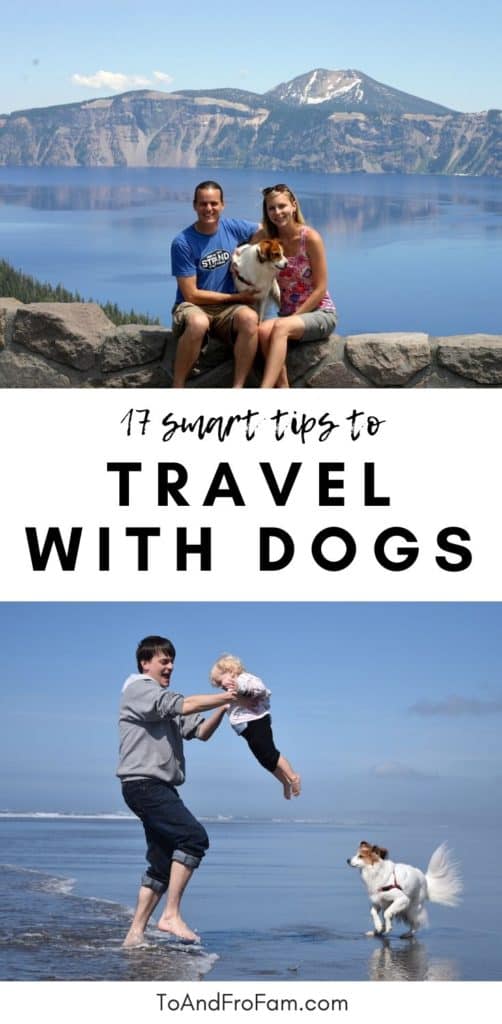 How to travel with dogs: in the car, to the beach, everywhere! 17 smart tips to bring your dog on vacation, plus how to find pet-friendly hotels and lodging. To & Fro Fam