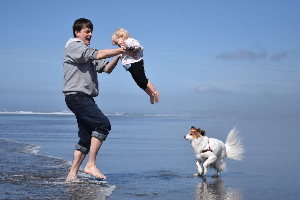 Taking your dog on vacation: 17 tips to help you and your pup stay comfortable + safe / To & Fro Fam