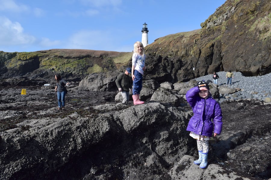 Explore Cobble Beach at Yaquina Head Lighthouse near Newport, Oregon. You'll find sea creatures in tide pools, see nesting birds, hear sea lions and maybe even spot a gray whale! To & Fro Fam