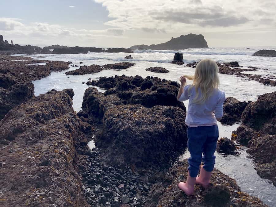 Oregon Coast with kids: Things to do for families near Newport, OR. Visit the Yaquina Head Lighthouse and Cobble Beach, where you'll explore tide pools and may even spot a whale! To & Fro Fam