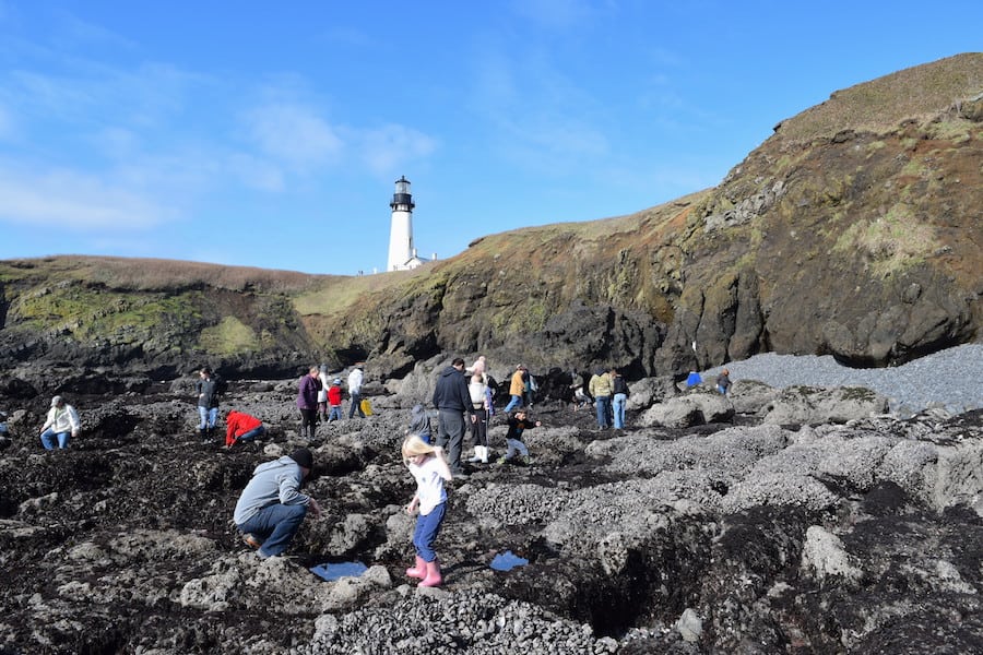 Tide pools on the Oregon Coast: Our favorite tidal pools are at the Yaquina Head Lighthouse near Newport, OR. Low tide reveals anemones, urchins, crabs and more—you can even touch them! To & Fro Fam