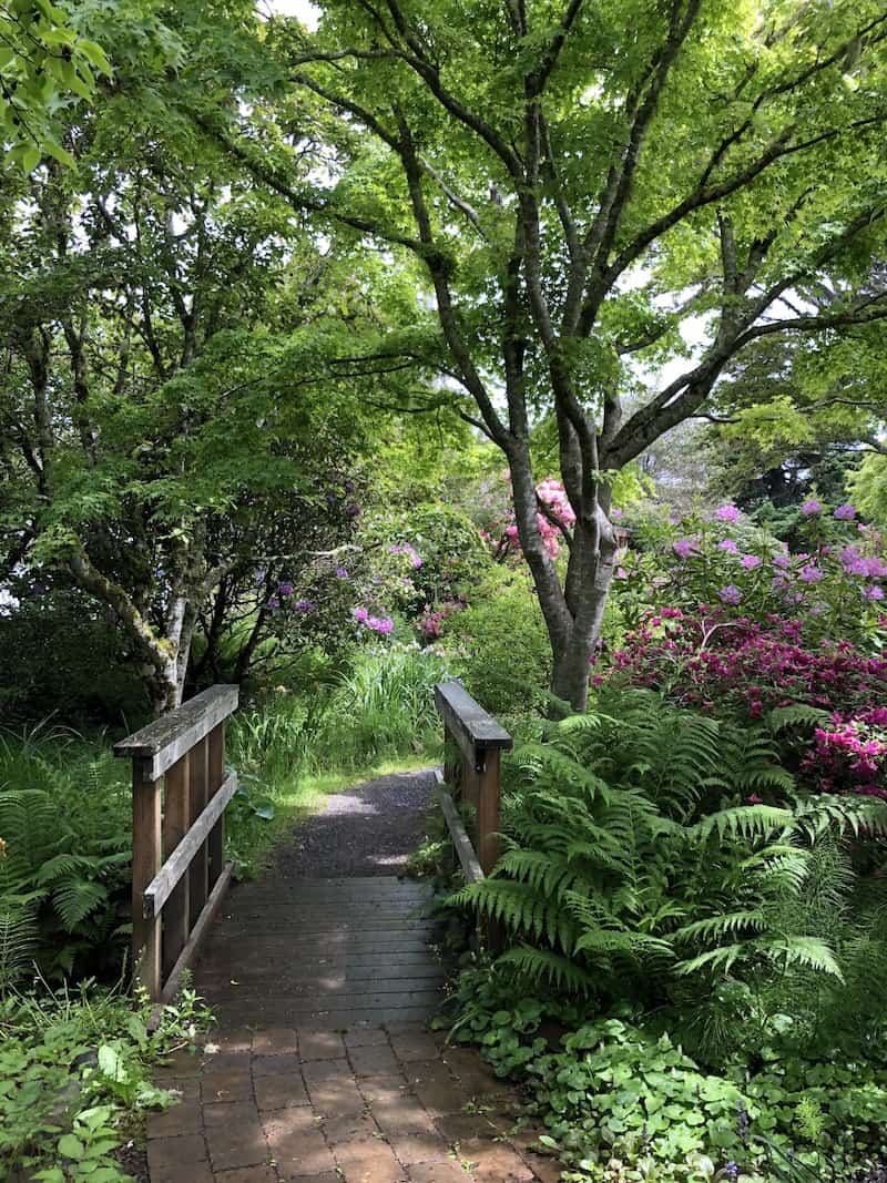 Looking for things to do in Lincoln City, OR? This tucked-away garden is a secret only locals know about—and is gorgeous year-round. To & Fro Fam