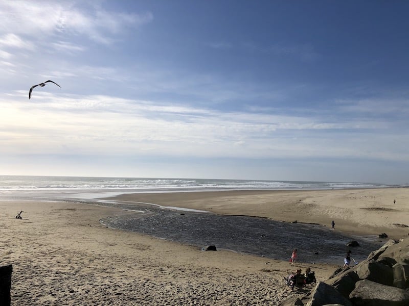 Lincoln City, OR is a gorgeous spot on the Oregon Coast. When you're looking for things to do in this little town, click here for ideas: beaches, parks, street art, scenic areas and more! To & Fro Fam