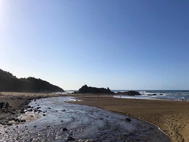 This beautiful beach on the Oregon Coast is between Newport and Lincoln City, OR. Fogarty Creek is a lovely agate beach during low tide! To & Fro Fam