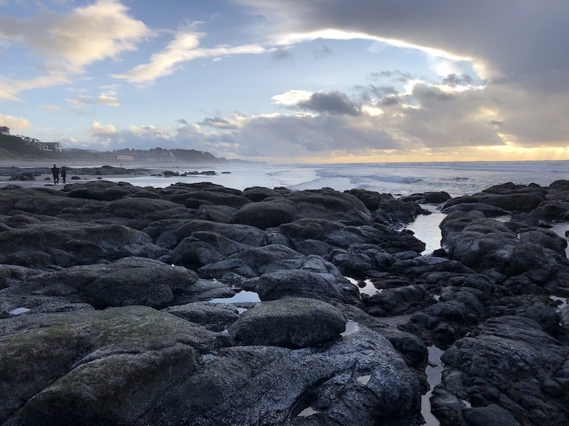 Tide pools in Lincoln City reveal sea anemones and other creatures at low tide. Learn about North Beach, plus so many other fun things to do in Lincoln City, Oregon, by clicking to the post. To & Fro Fam