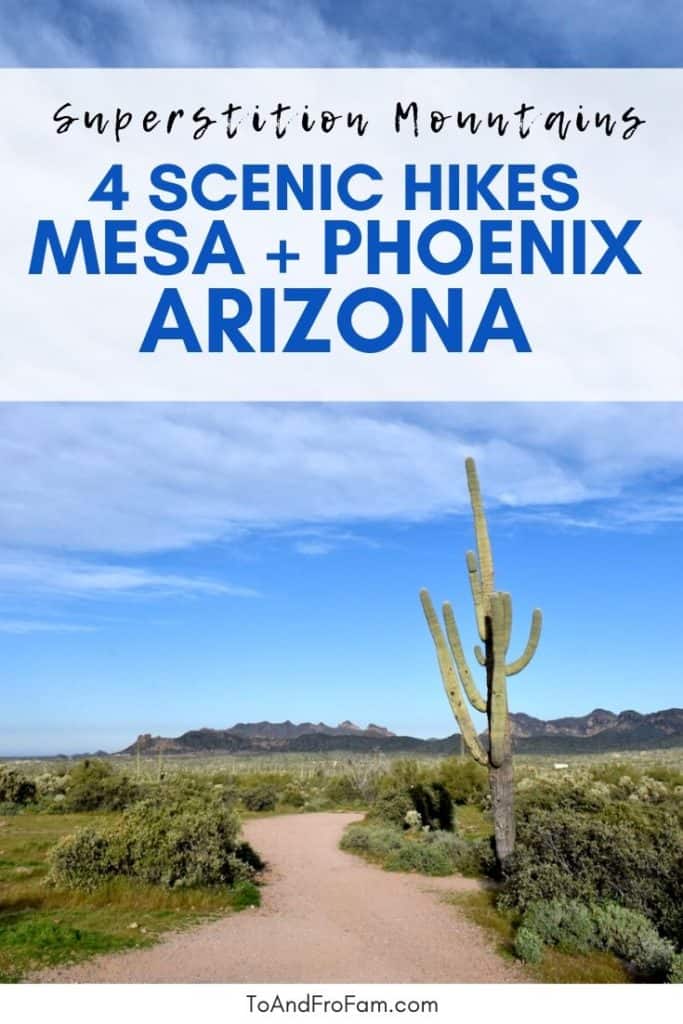 Explore the saguaro desert with these Superstition Mountains hikes near Mesa, AZ. From easy to difficult, the trails have something for everyone. To & Fro Fam