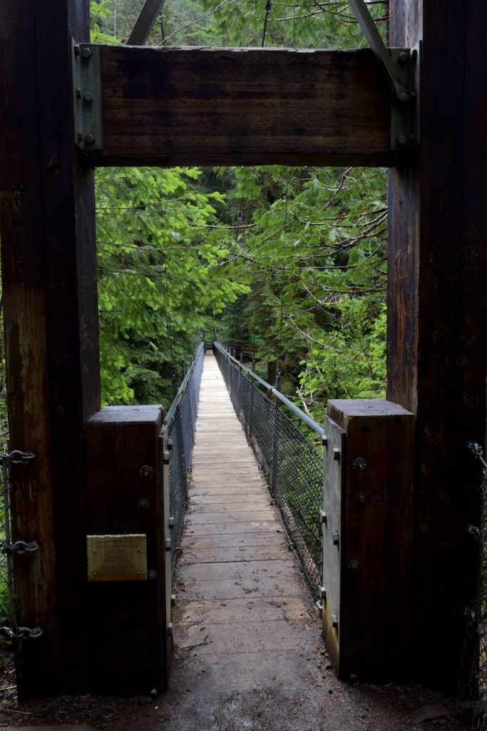 Want to hike a suspension bridge in Oregon? This 3-mile trail takes you to a cool (but safe) suspension bridge and waterfall. It's near the Oregon Coast and just 40 minutes from Lincoln City, OR. Don't miss this unforgettable hike on the Oregon Coast! To & Fro Fam