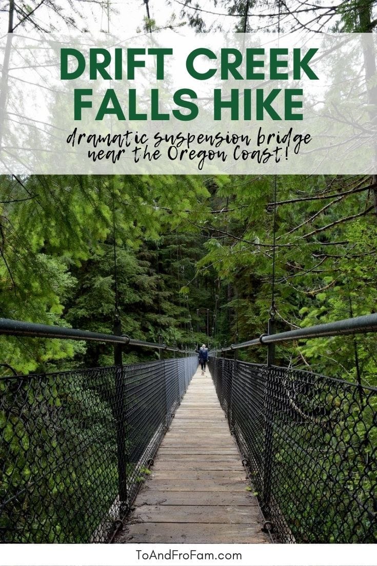 Hike Drift Creek Falls: Oregon Coast trail with suspension bridge!