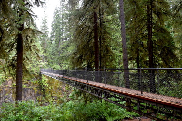 Hike Drift Creek Falls Oregon Coast Trail With Suspension Bridge