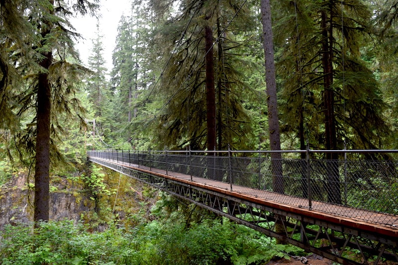 Drift Creek Falls: A dramatic but easy hike near the Oregon Coast with a suspension bridge!